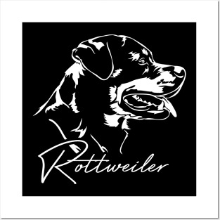 Proud Rottweiler dog portrait Rottie dog Posters and Art